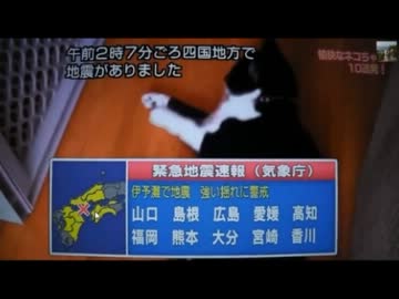 【永井先生】南海地震の収束