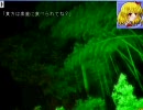 東方　文字で幻想入り（ちるの）