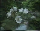 『ある川面の詩』コラボ試作版ミクうた
