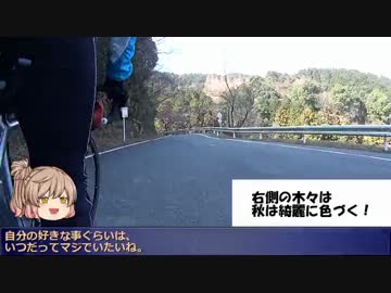 もーもーらんど 自転車