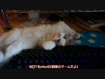 【リア獣】 愛と勇気の可愛い戦士『のん太』