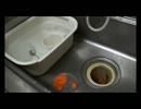 ホワイトデーにバニラマカロン作ってみた：前半【gdgd動画】