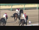 4歳上1000万_ヴァンガード