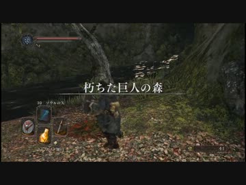 【字幕プレイ】DARK SOULSⅡ Part:010