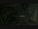DARKなSOULSⅡを実況プレイ part5