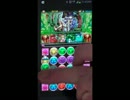 パズドラ解説実況　ガイア降臨超級　フレイムチェイサーPT　無課金編成