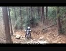 ＜林特隊＞20140316ガレ三昧～後編