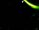 【健音テイ】FLARE【UTAUカバー】