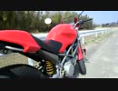 DUCATI MONSTER 800　エンジンサウンド