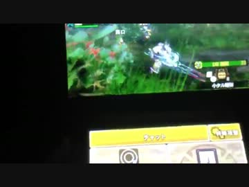 MH4 改造厨晒し