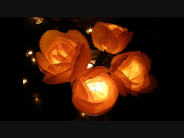 ババ臭い貝薔薇で色々作ってみた。