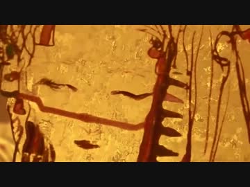 天野喜孝 1001 Nights 1/3
