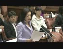 H26/3/19 参議院予算委員会・三原じゅん子【税の公平とはJAL問題等】