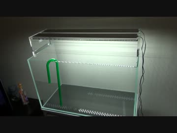 ①水草水槽に魅せられて【とりあえずUP版】