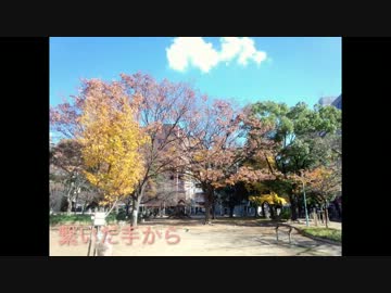 【もがみ】 繋いだ手から - back number 【ベース弾いてみた】