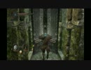 【実況】ムーさんのDARK SOULSⅡその8前篇