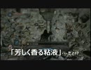 【字幕プレイ】DARK SOULSⅡ Part:016