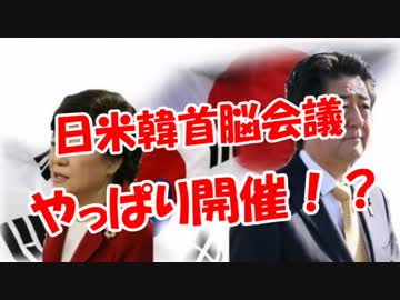 【日米韓首脳会議】やっぱり開催！？