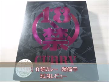 【食べるな】１８禁カレー超痛辛　試食レビュー【危険】
