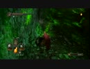 【ソウル！暴力！ロスト！！】にわか乙のDARK SOULS2実況 Part28