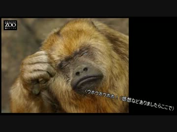 【ゆっくりTRPG】冒涜的なSCPに侵されていくクトゥルフ神話　Episode：06