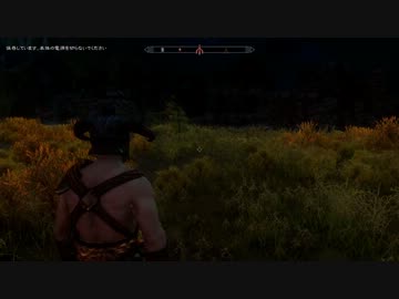 暴れん坊765プロ：傭兵フォロワーMOD「突然リボンが来たので」