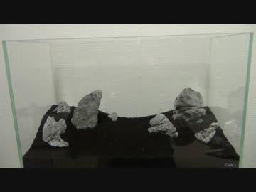 ③水草水槽に魅せられて【とりあえずUP版】