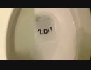 2013年をトイレに流してみた