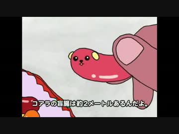 【豆しば～】　全CM　【今さら～】