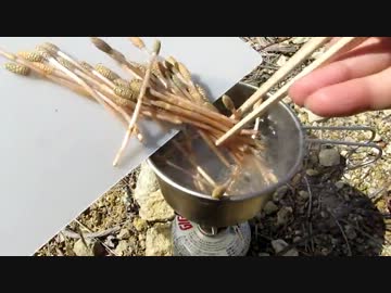 つくし狩りに行ってきた '14/3/22