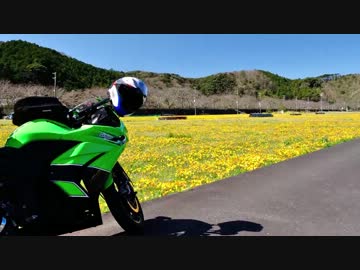 2014-03-21 南伊豆キャンプツーリング Part1 花と夕日とキャンプ編