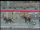 第46回ばんえい記念(2/2)