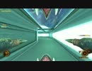 【NS2】鳥動画