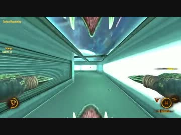 【NS2】鳥動画