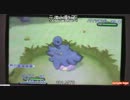 テスト動画