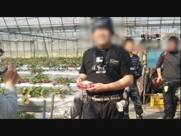 [ニコツー]山口・イチゴ狩りツーリング