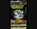 パズドラ　ヤミメタ　初心者講座