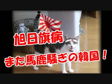【旭日旗病】また馬鹿騒ぎの韓国！