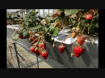 ふらふらとバイクツーリング