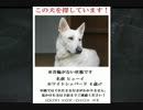 【DEMENT】すべてはヒューイのために…【実況】Part3