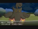 ポケモンXY カロスずかん完成の旅 全てのポケモンを育てる実況 Part34