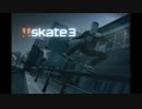 運動神経０の豚がSkate3をスタイリッシュ風に実況！part1