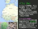 【初見で大航海時代３】～カサブランカ編②～第33回