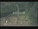 エロい異国の女が全裸縛りでDarkSoulsⅡをゆっくり実況　　Part.03