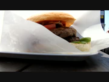 【千葉】ビンゴバーガーツーリング【なめネコ】