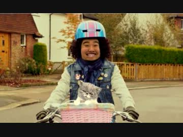 サイクリングを楽しむバチカン