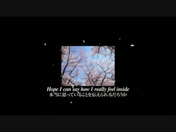 さくら（独唱）　英語版　　歌：GILLE（原曲：森山直太朗）