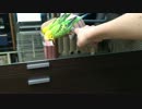 鏡に映った自分の姿に怒る(キレる？)インコ