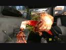 【HALF-LIFE2 EP2 －ハーフライフ２ EP２－】　先導実況　１２
