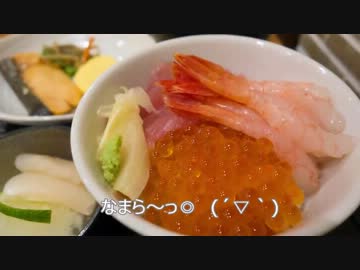 ウサチョフ、北海道へ行くっ！第5回「列車ホテル★The end!」